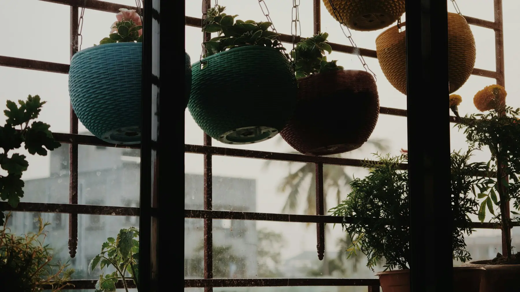 Hanging planters filled with greenery along the balcony railing