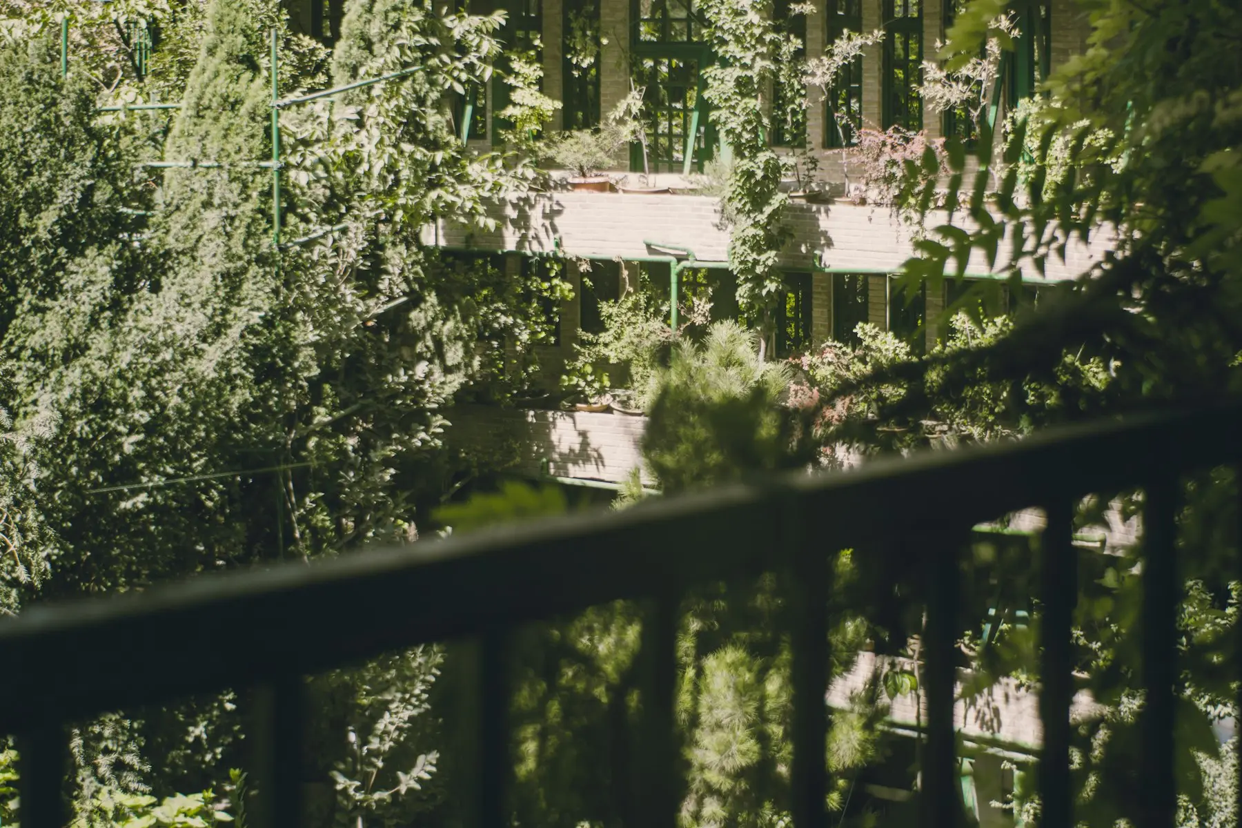 Green trees and neighbouring rooftops seen through the balcony railing at Lachica Homes